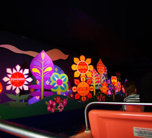 Da habe ich Hunderte von Bildern geschossen