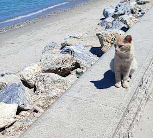 Strandpromenade Kusadasi