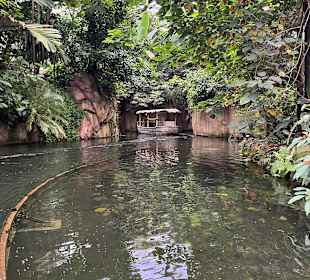 Wildlands Zoo in Emmen 