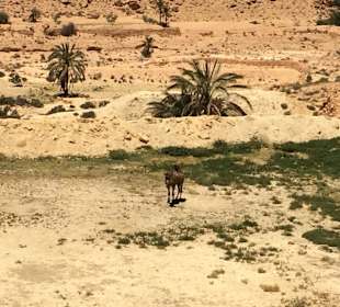 Village berbère