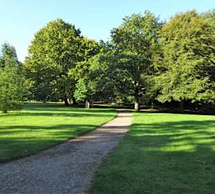 Spaziergang durch den Stadtpark Lübeck