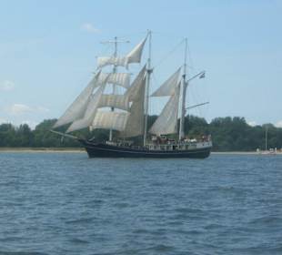 die "Thalassa"
