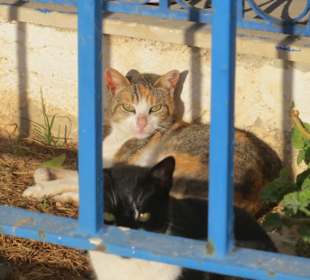 Area vor dem Jachthafen