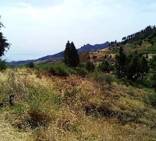 Ausblick vom Cruz de Tejeda 