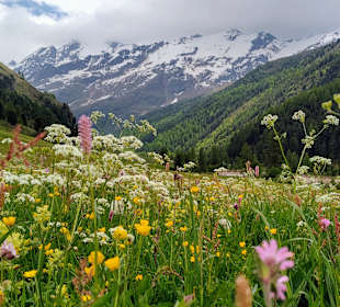 Wandern Malles Venosta / Mals