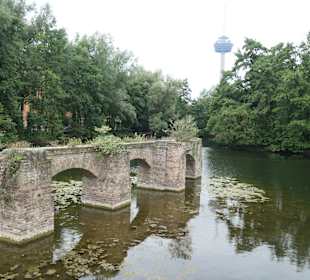 Beim künstlichen See im Kölner Mediapark