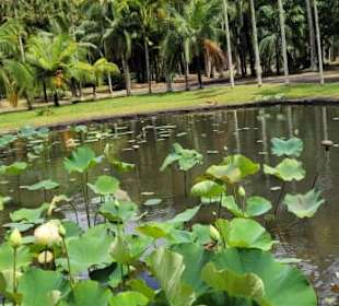 Mauritius Deutschsprachige Touren