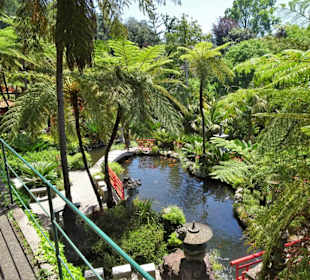 Eindrücke aus dem Monte Palace Tropical Garden