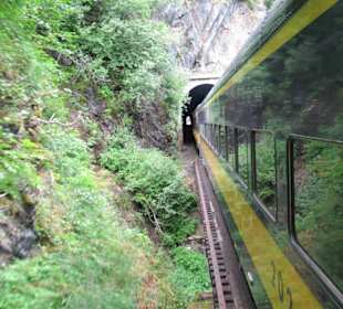 Mit der Train in der Natur Alaskas