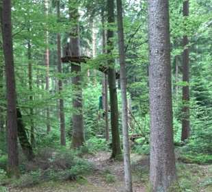 Hochseilgarten Hallwangen