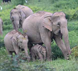 Das kleine ist erst 3 Wochen alt