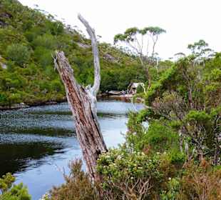 Cradle Mountain-Lake St.Clair NP - Crater Lake