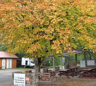 Sitzplätze im Außenbereich bei Kocken