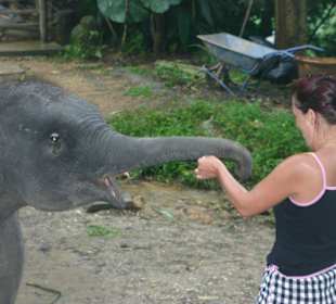 Nationalpark Khao Sok