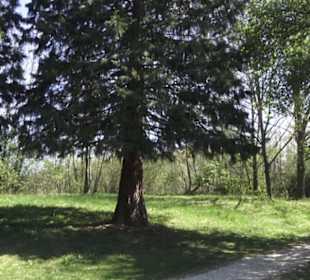 Sport- und Freizeitpark Markwasen