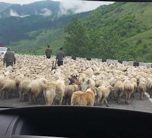 Gruzińska Droga Wojenna