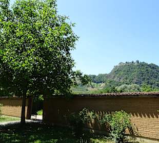 Schaffhauser Kräutergarten