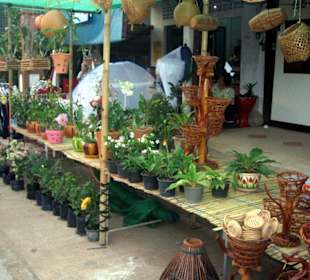 Laanta Lanta Festival in Old Lanta Town