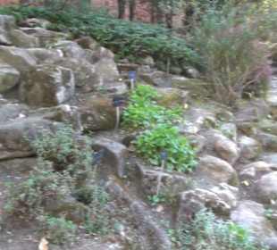 Real Jardín Botánico de Madrid