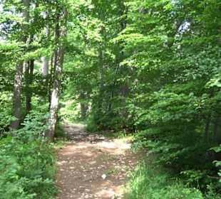 Premiumwanderweg "hochgelegen"
