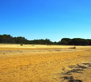 Freie Strandbereiche