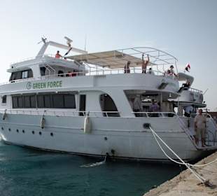 Dolphintour mit Oototo zum Zweiten