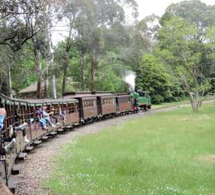 Mit der Puffing Billy Dampfbahn unterwegs
