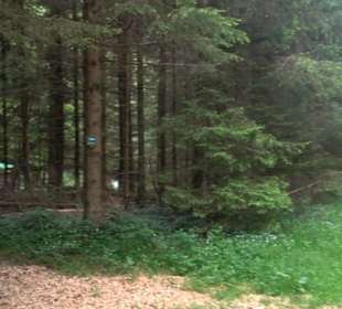 Doline Weidenwang