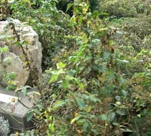 Skulptur Partnerstädte Stadtgarten