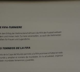 FIFA World Football Museum