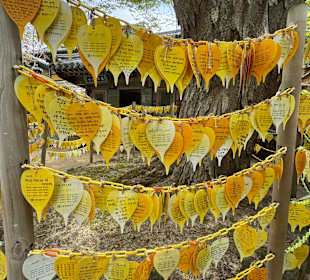 Gayasan-Nationalpark