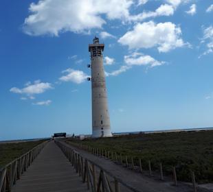Eine kleine Auswahl was man alles entdecken kann.