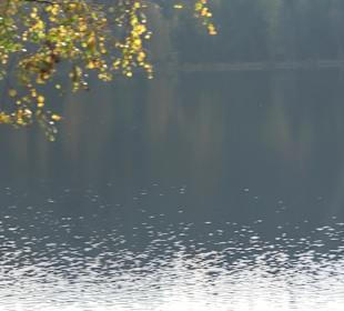 Windgfällweiher