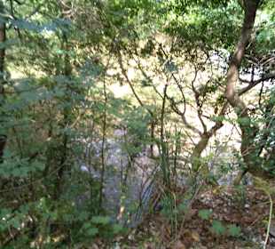 Wandern