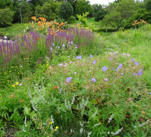 Höhenpark Killesberg