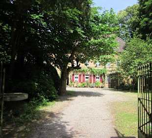 Auf dem Weg zur Walddusche