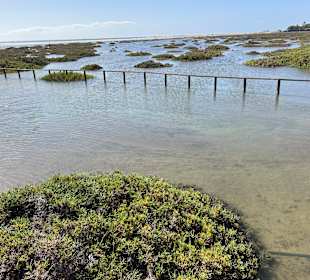 Stadtrundgang Jandia / Playa de Jandia
