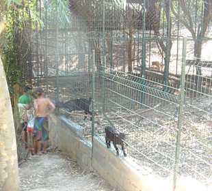Manavgat Zoo