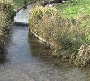 Unterer Schlossgarten Stuttgart