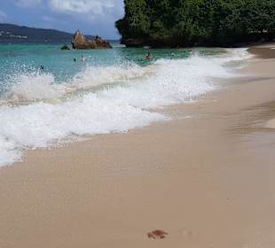 Bacardi Insel - Isla Cayo Levantado