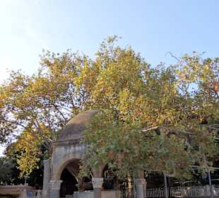 Moschee