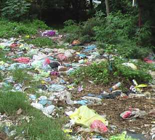 Abfall am Seitenstreifen