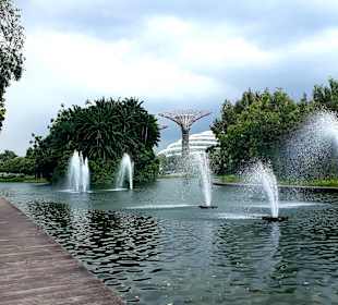 Gardens by the Bay