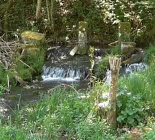 Premiumwanderweg Hochgehschätzt