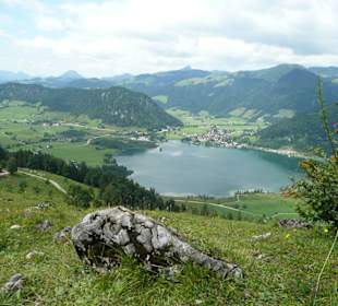 Traumblick auf den Walchsee