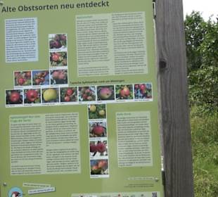 Premiumspazierweg Früchtetrauf-Leisawegle