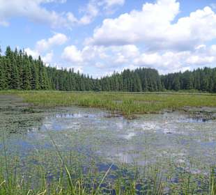Algonquin Provincial Park