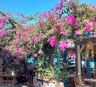Stadtrundgang Panormos