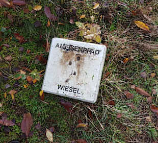 Barfußpfad Schermbeck Steintafel mit Pfotenabdruck
