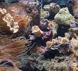 Allwetterzoo Münster